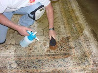 Fast Carpet Cleaners 354337 Image 4